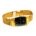 Bleu Klassic Gold Watch
